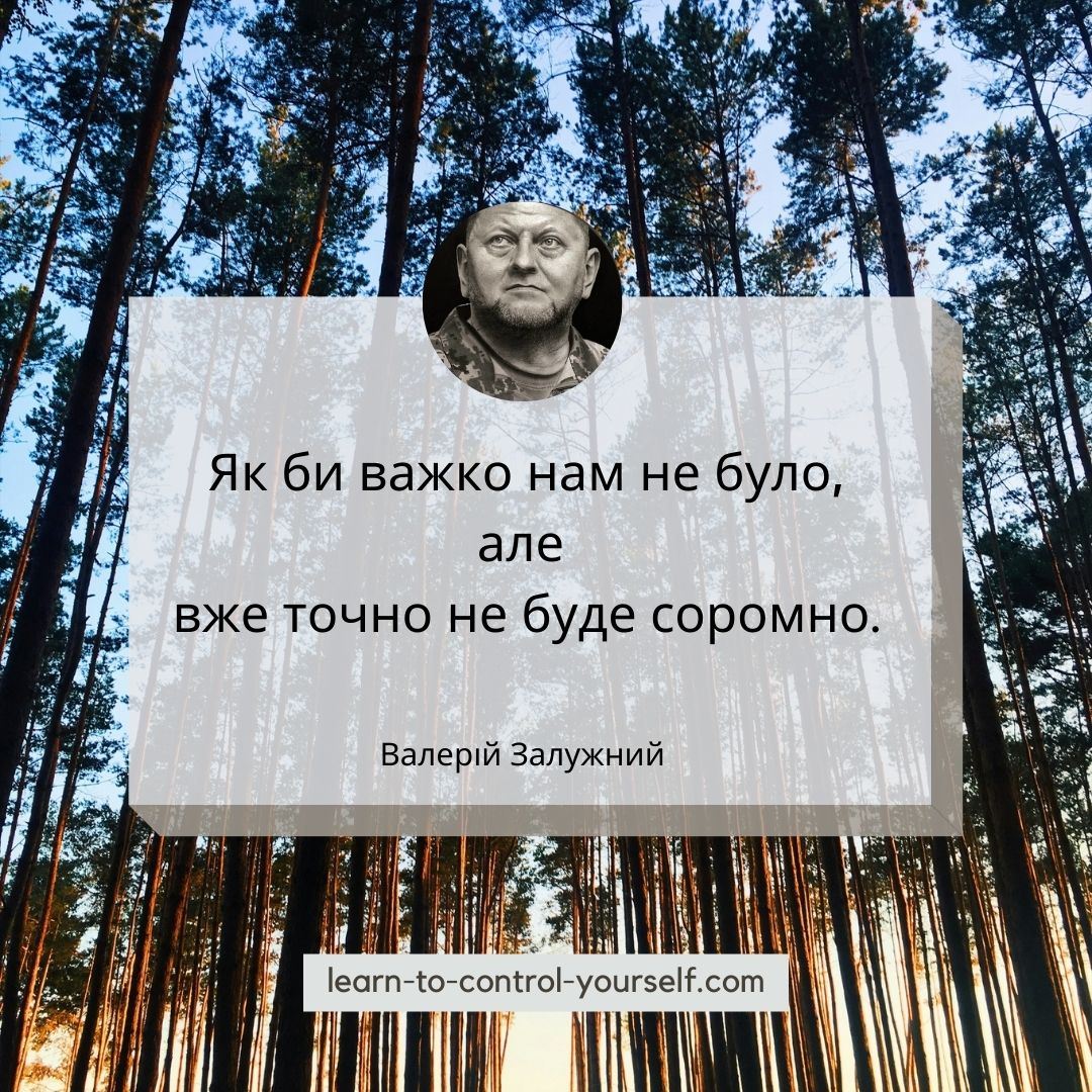Валерій Залужний цитата 1