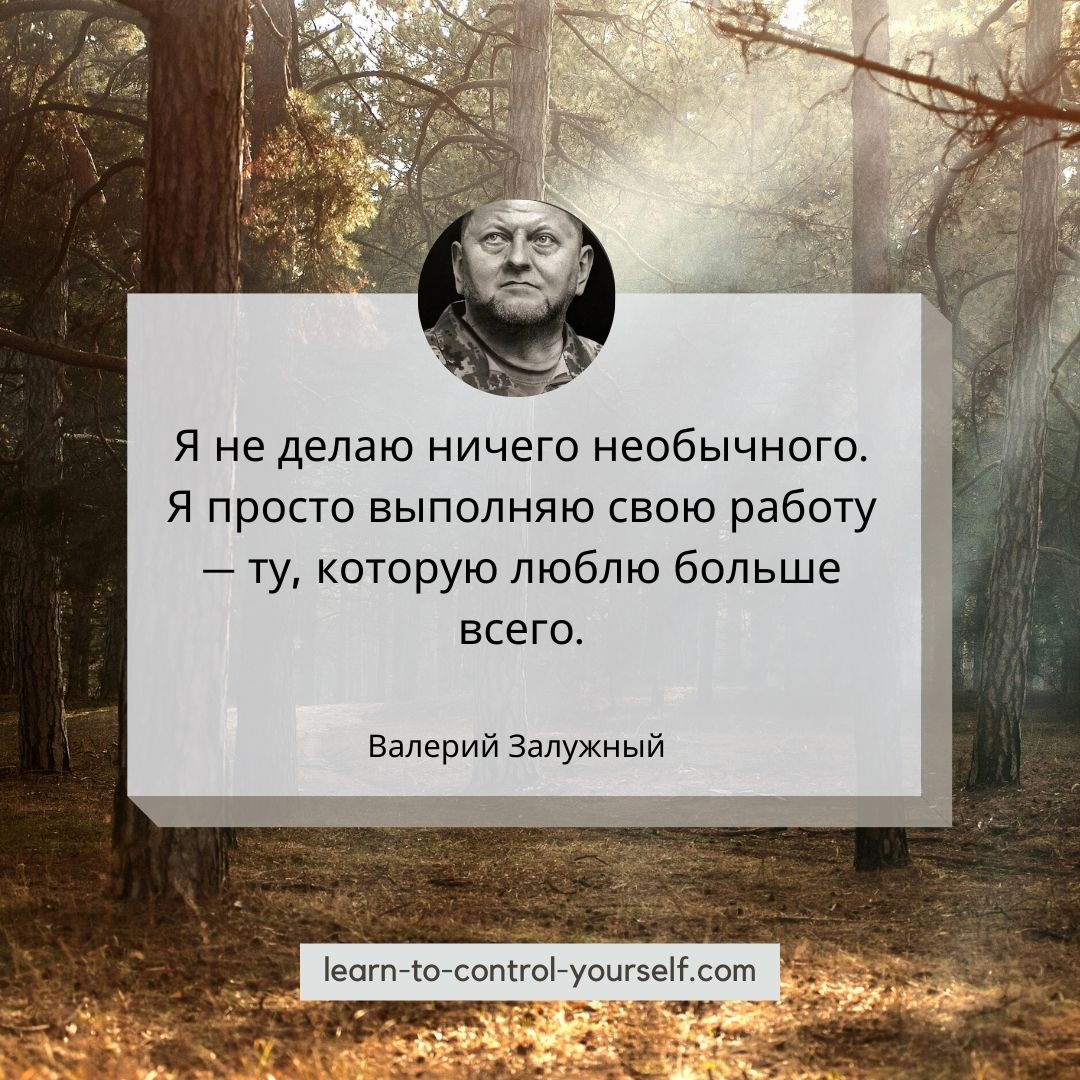 Валерий Залужный цитата 3