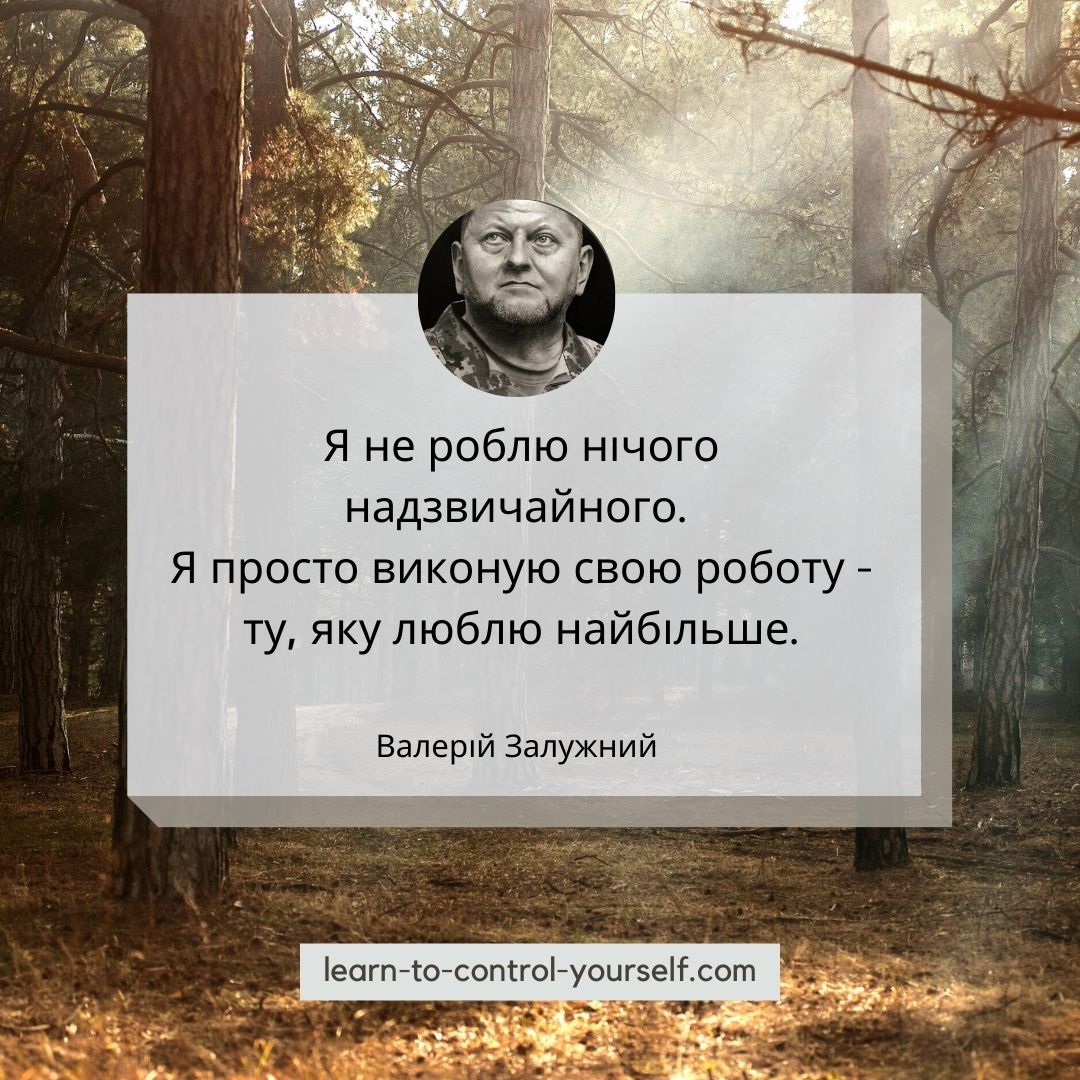 Валерій Залужний цитата 3