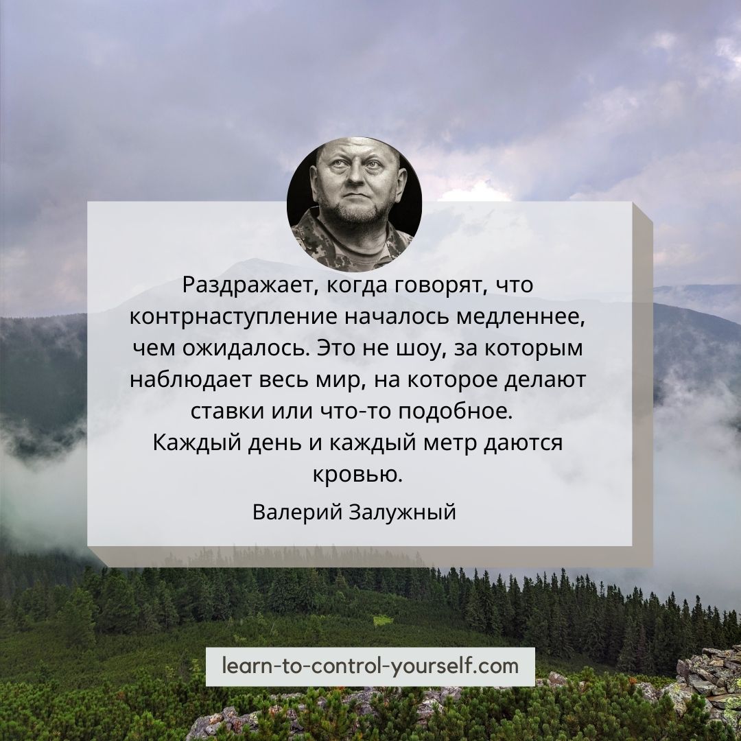 Валерий Залужный цитата 8