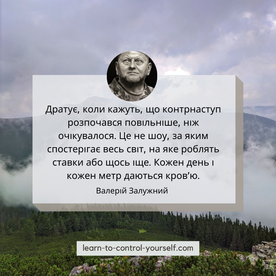 Валерій Залужний цитата 8