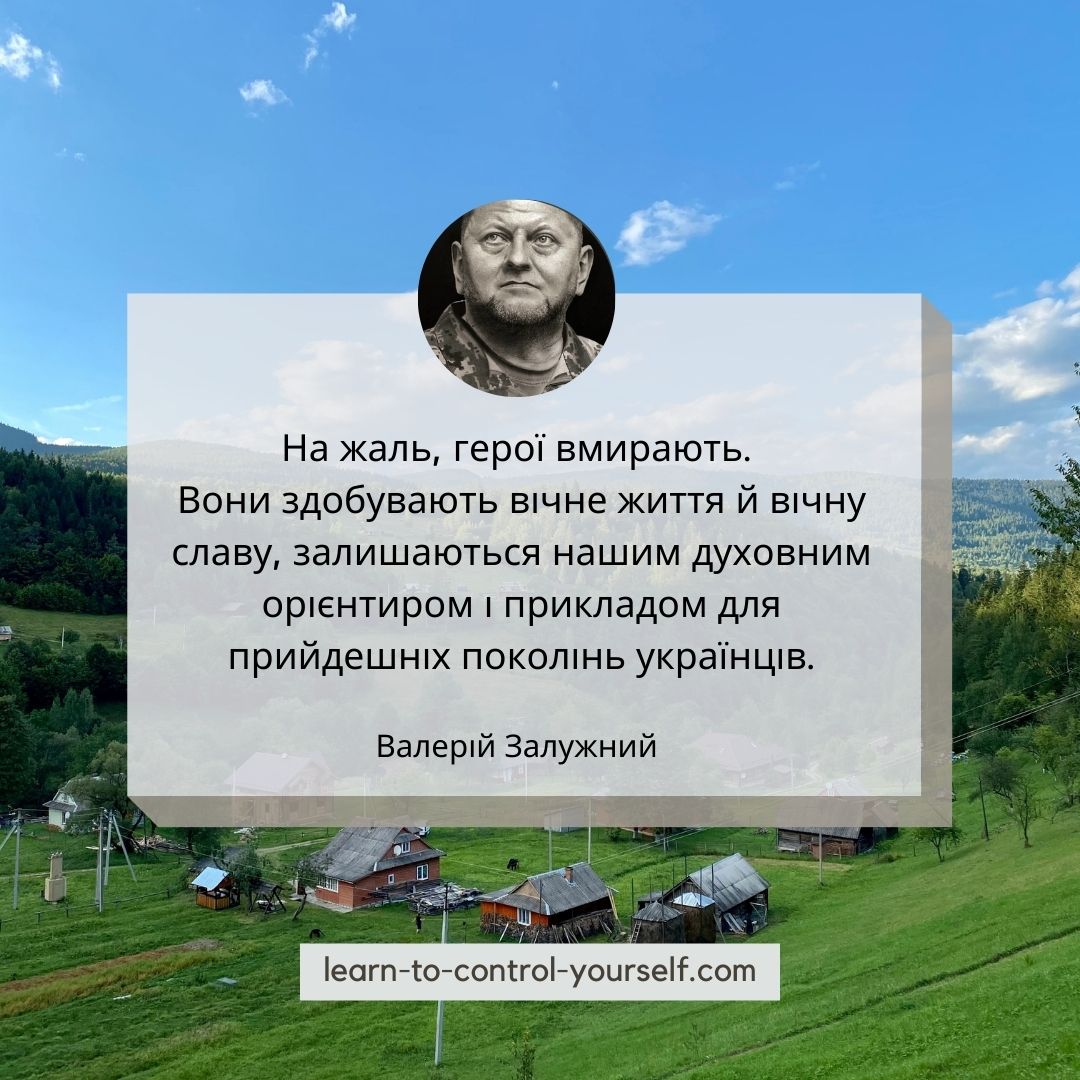 Валерій Залужний цитата 9