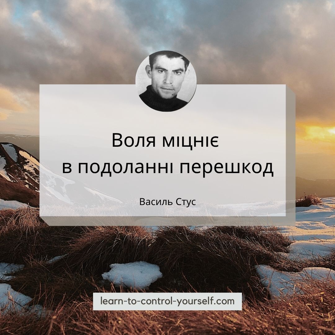 Василь Стус цитата 1