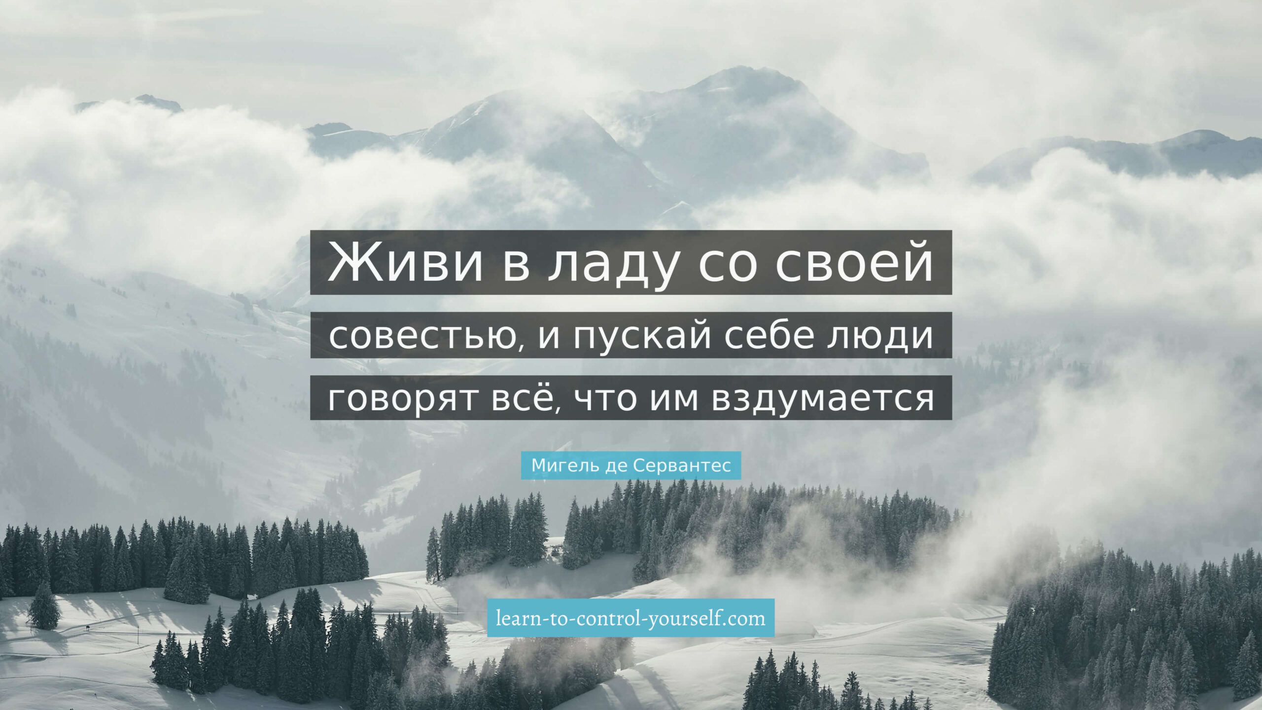 Мигель де Сервантес, цитата про саморазвитие