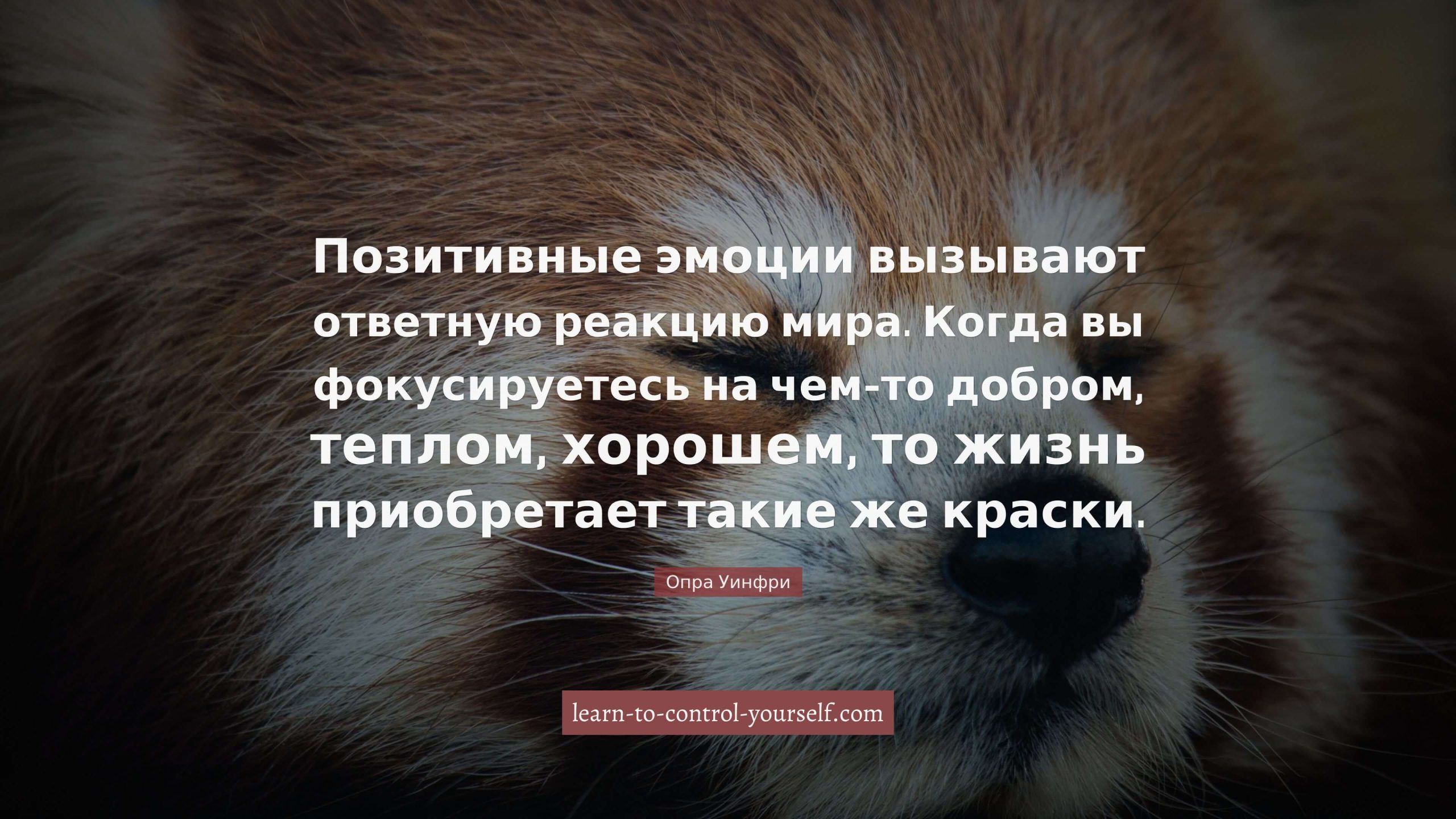 Опра Уинфри, цитата про счастье
