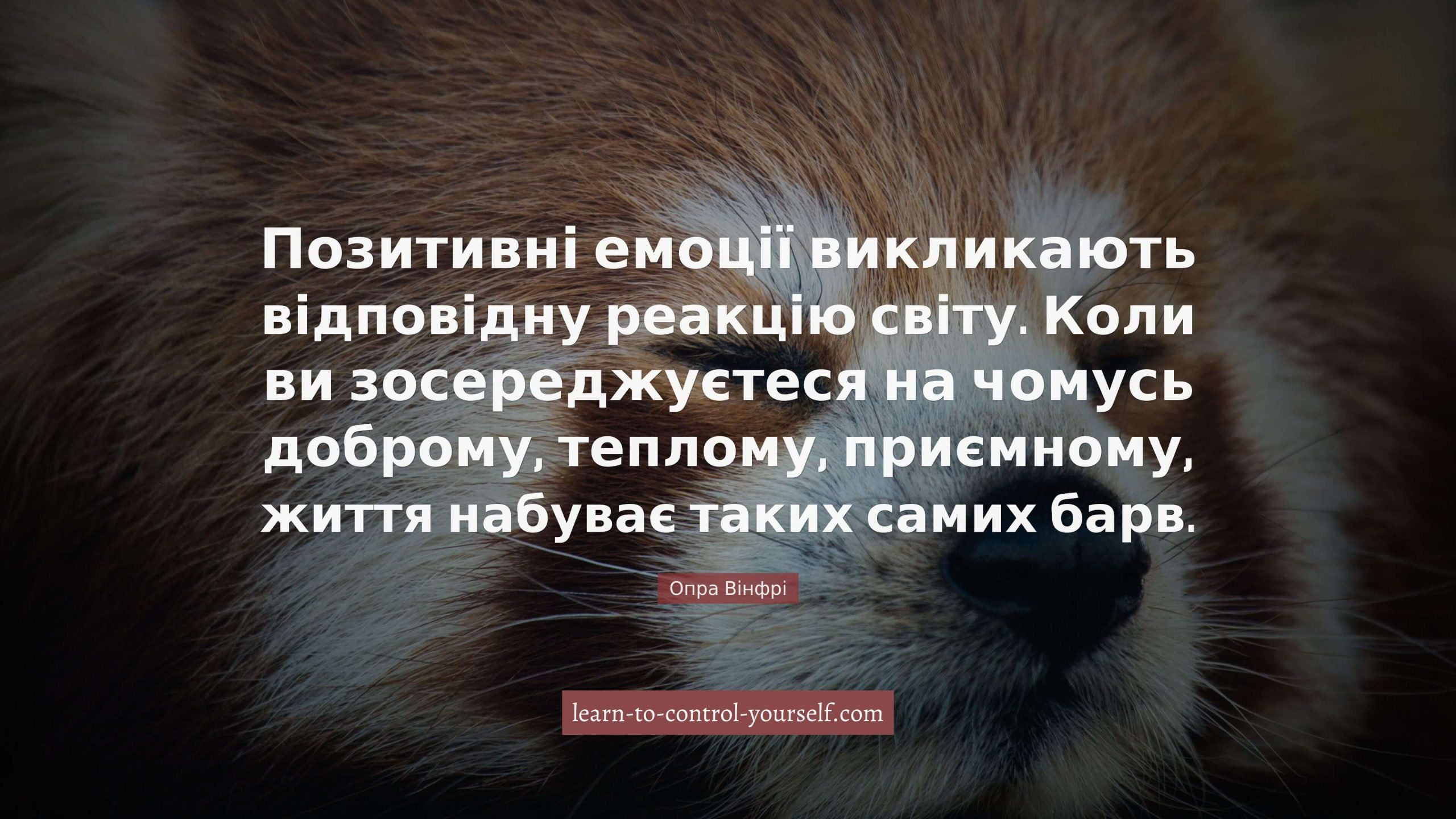 Опра Вінфрі, цитата про щастя