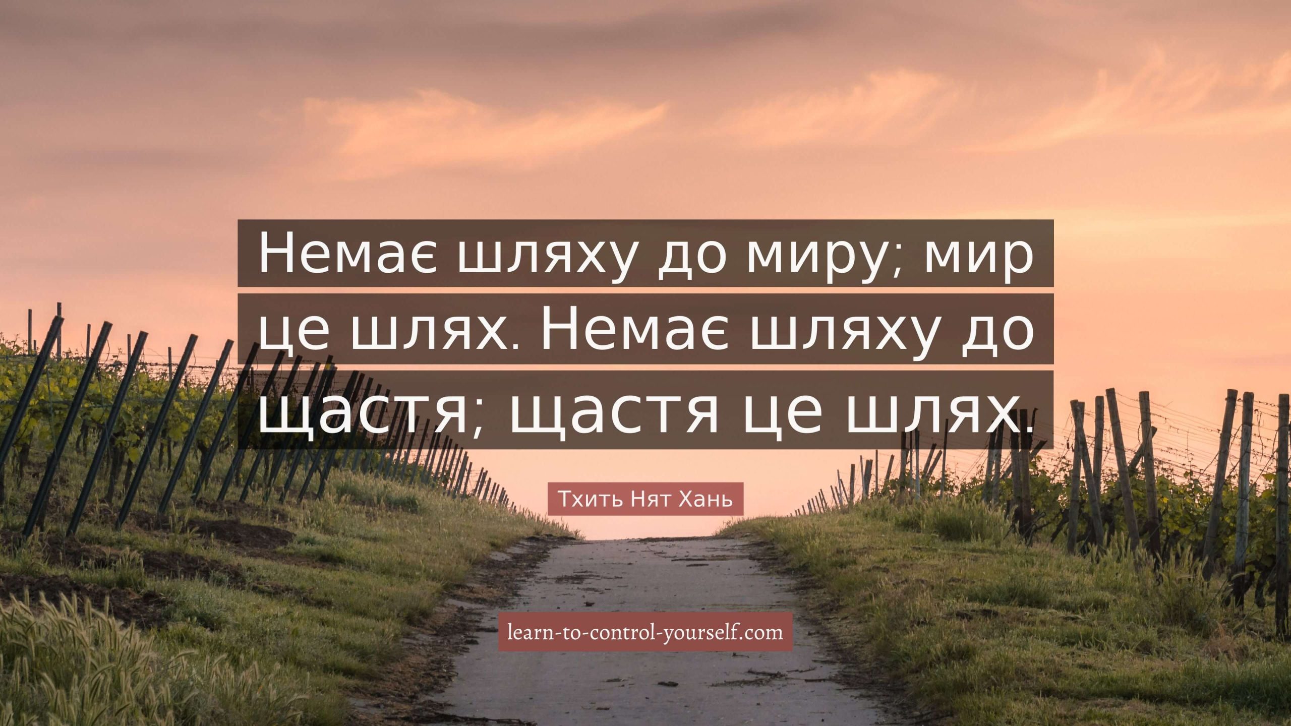 Тхить Нят Хань, цитата про щастя
