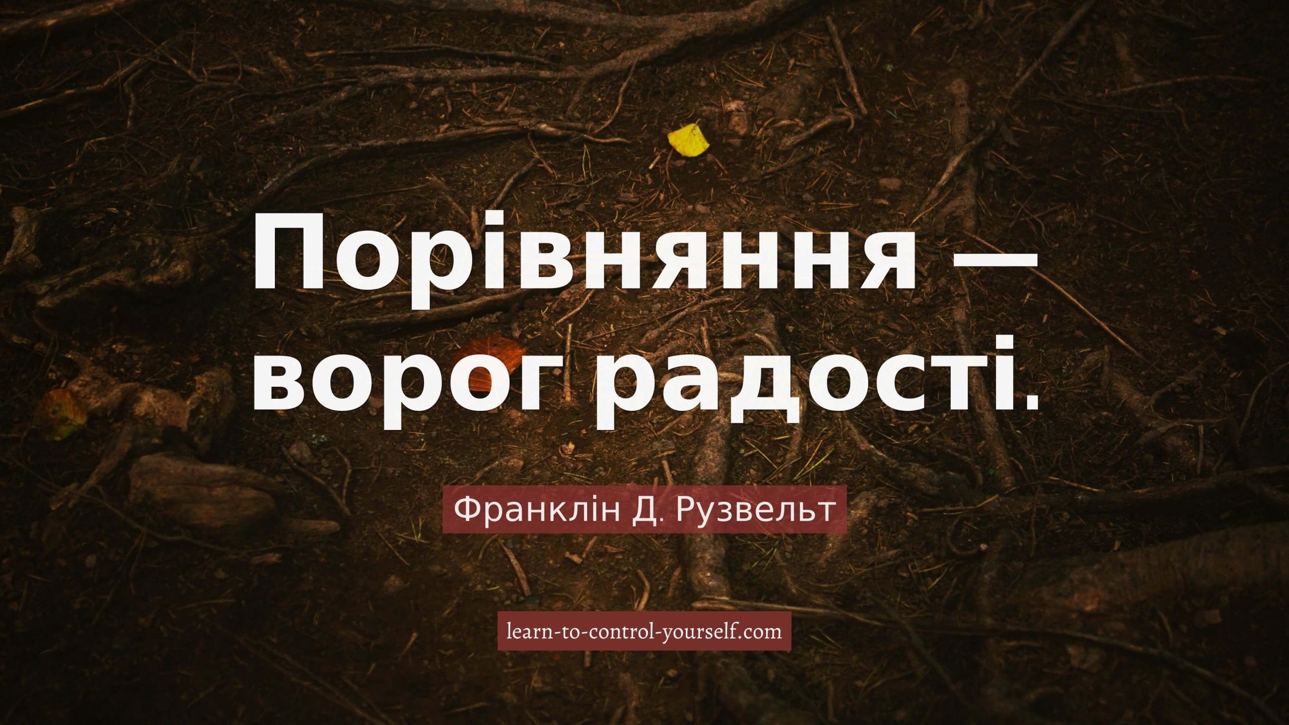 Теодор Рузвельт, цитата про щастя