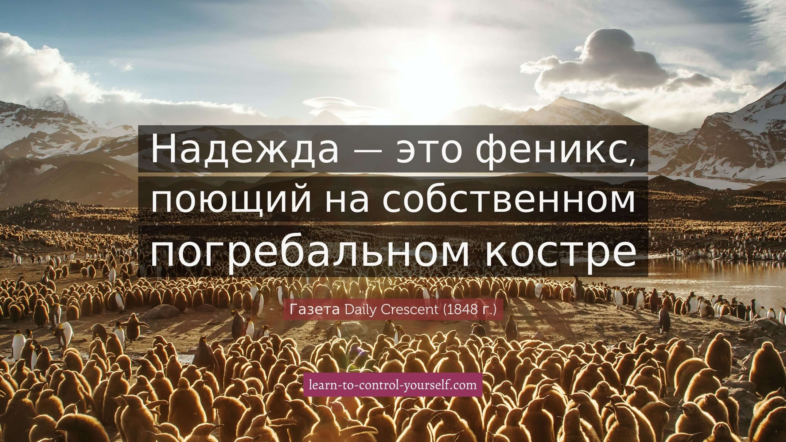 Газета Daily Crescent, цитата о надежде