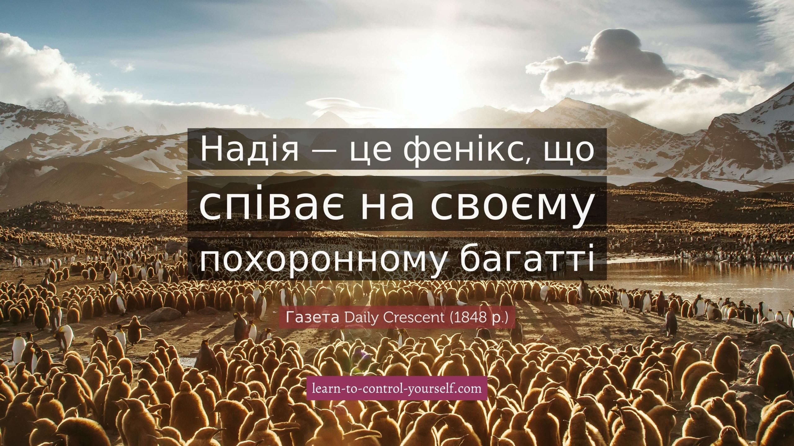 Газета Daily Crescent, цитата про надію