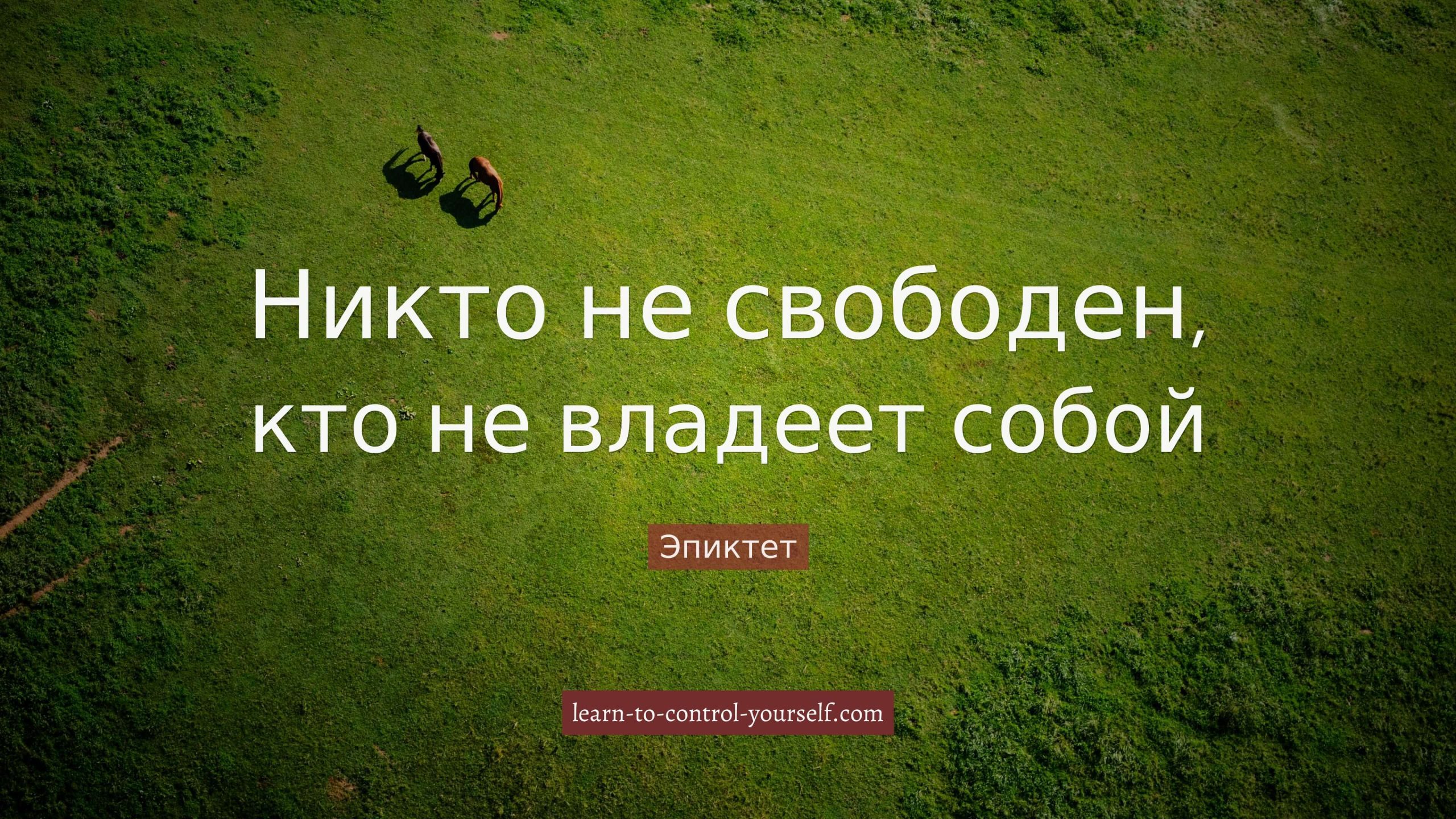 Эпиктет, цитата про саморазвитие