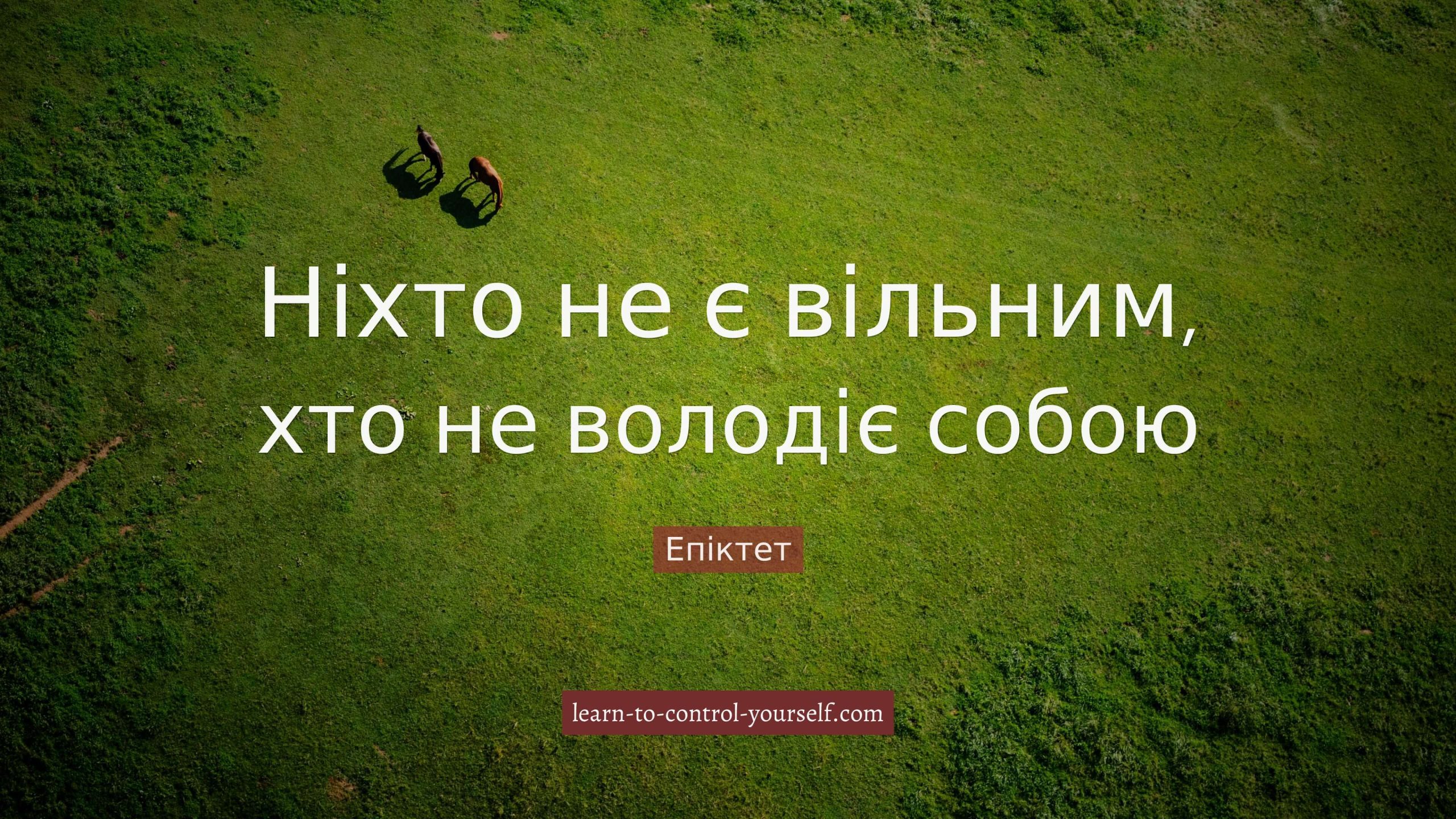 Епіктет, цитата про саморозвиток